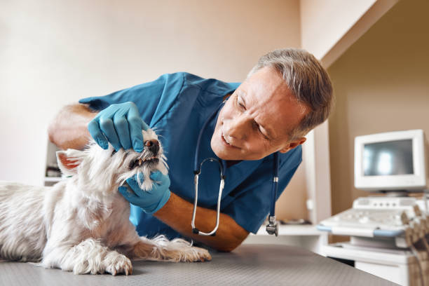 Best Emergency Wisdom Teeth Removal in Lavon, TX